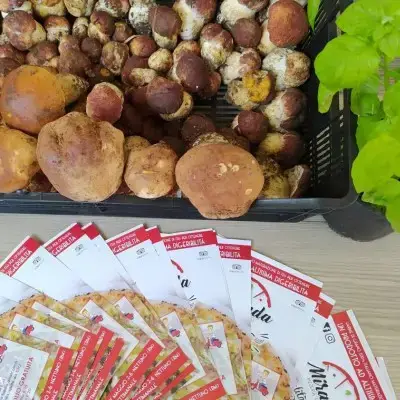 miranda pizzeria gourmet nettuno