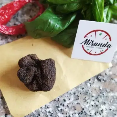 miranda pizzeria gourmet nettuno